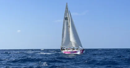 Starling at sea mid ocean